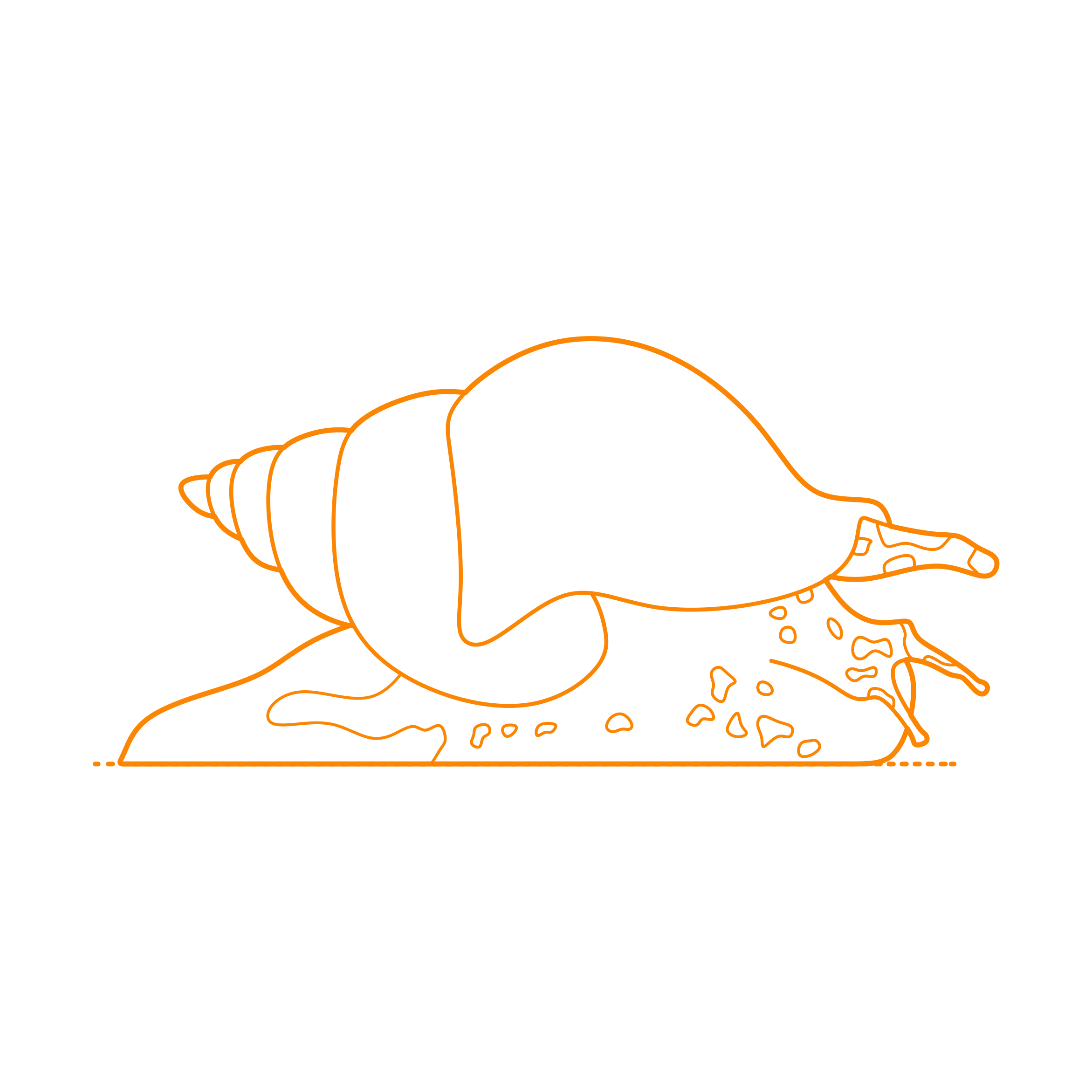 Animals Gastropods Common Whelk Outline Svg File Free Vectors